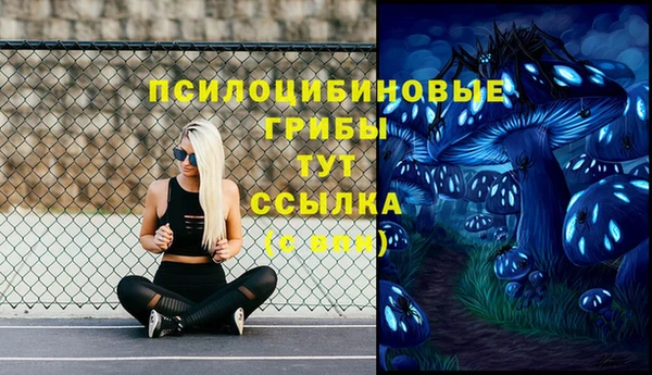 не бодяженный Белокуриха
