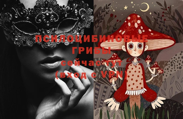 дживик Белоозёрский