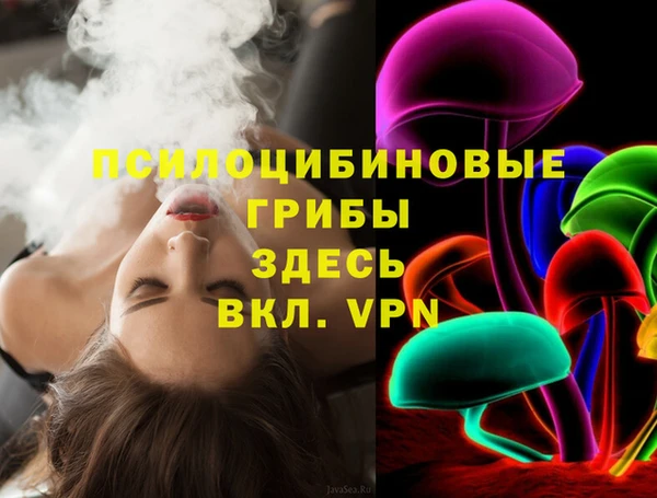 дживик Белоозёрский