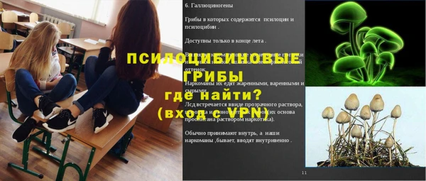 не бодяженный Белокуриха