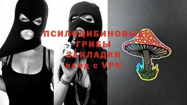 дживик Белоозёрский