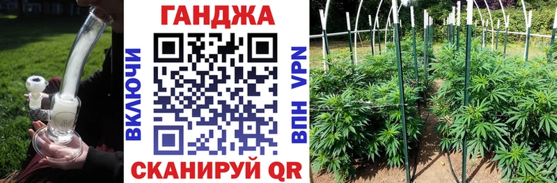 Бошки марихуана MAZAR где купить Жигулёвск